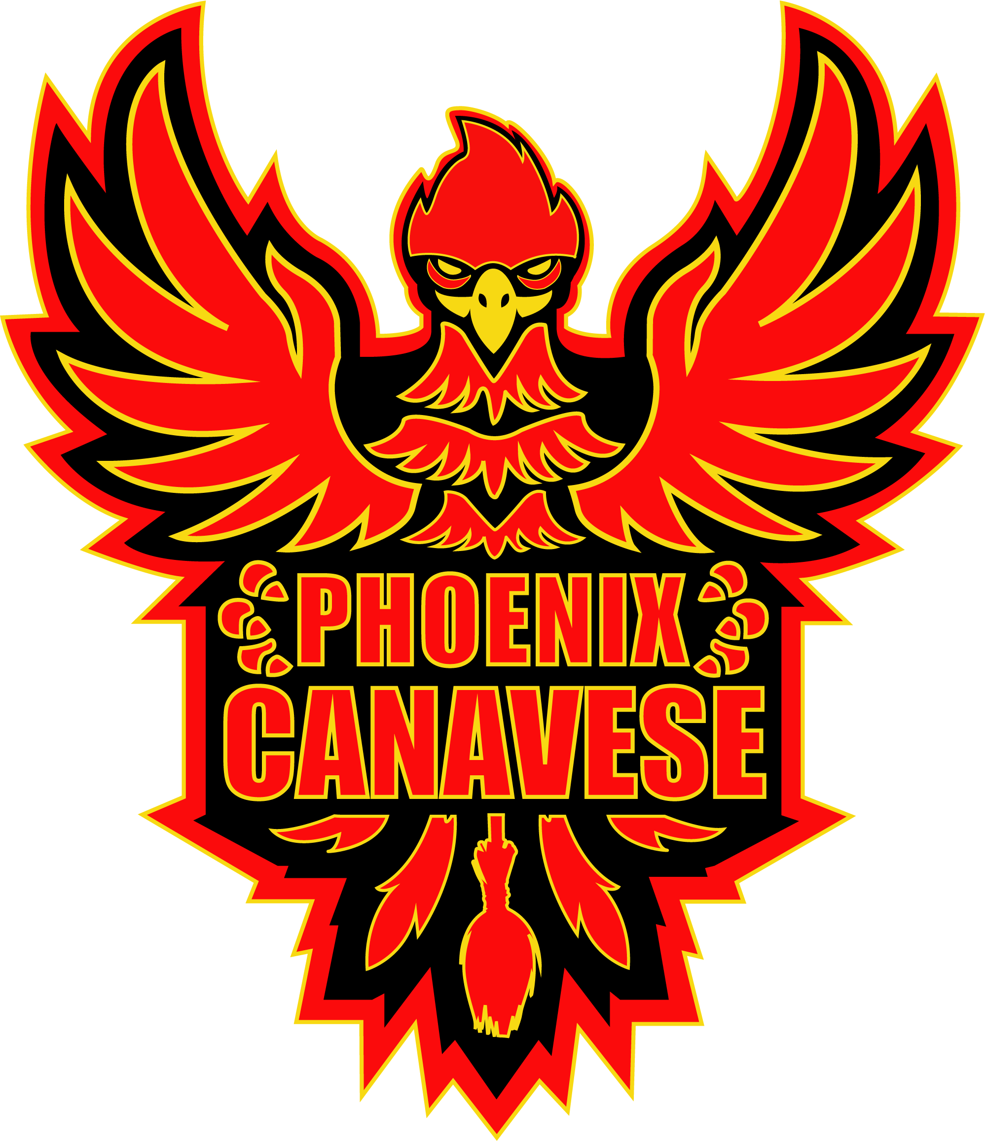 Logo Phoenix Canavese Quidditch